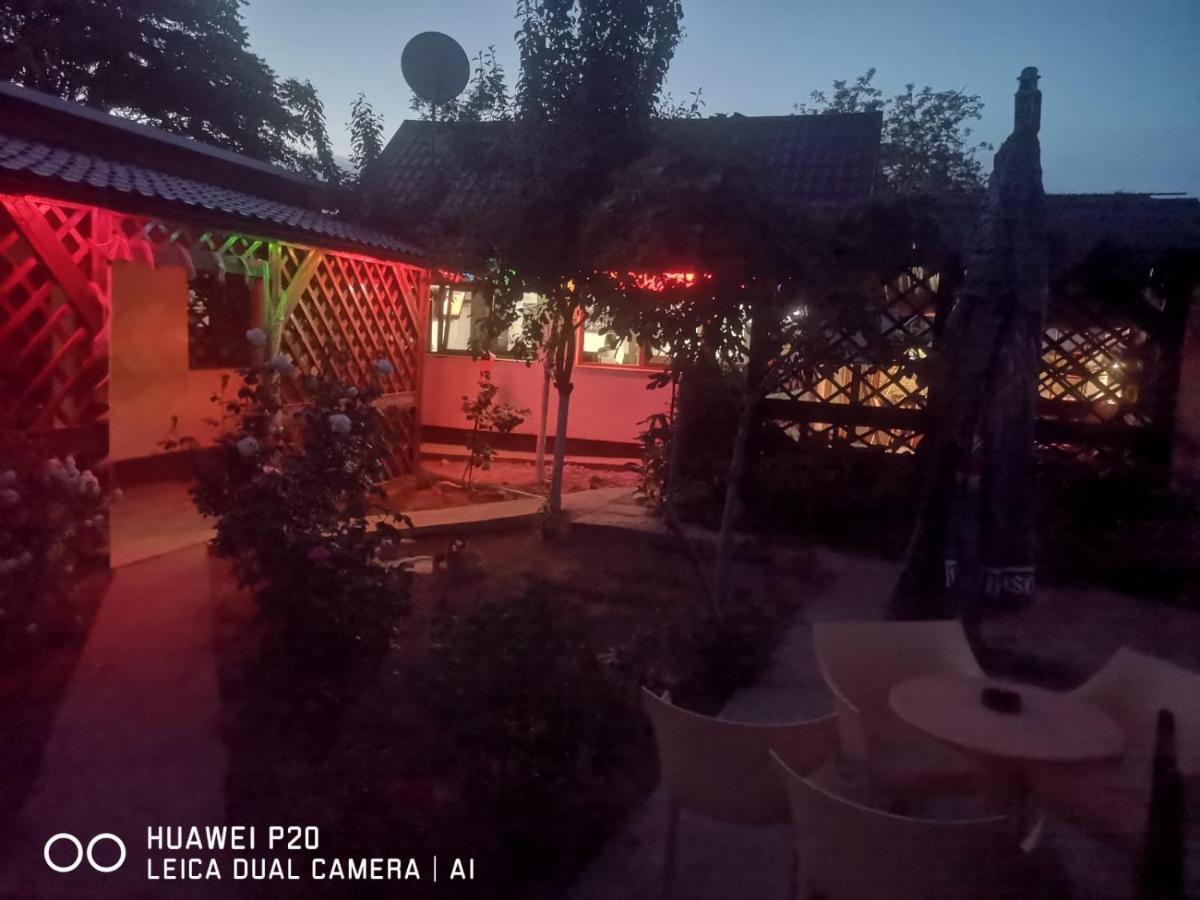 Отель Casa Carter Сфынту-Георге Экстерьер фото